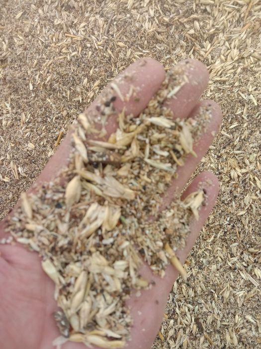 ОТХОДЫ Полова Отруби корма