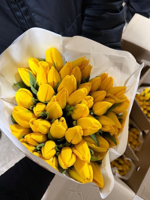 Цветы, букет, тюльпаны