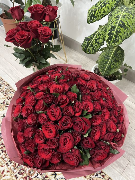 Продам 101 розы живые