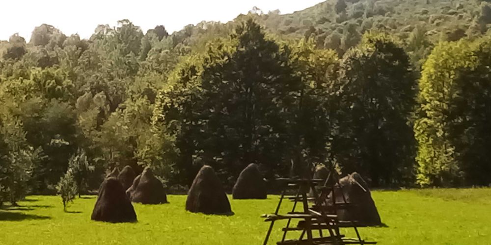 Teren intravilan Valea Doftanei, sat Tesila, Prahova