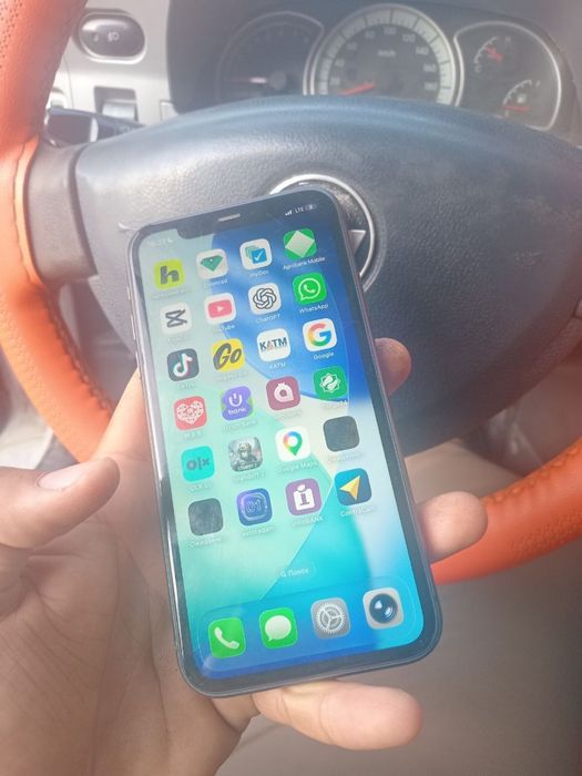 iphone 11 radnoy