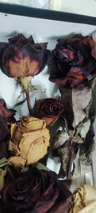 Куриган гуллар смола учун