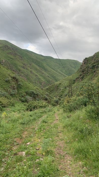 Участок 19,5 гектаров