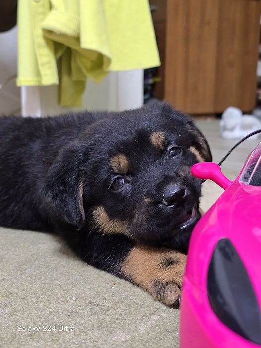 Прекрасные милые малышарики