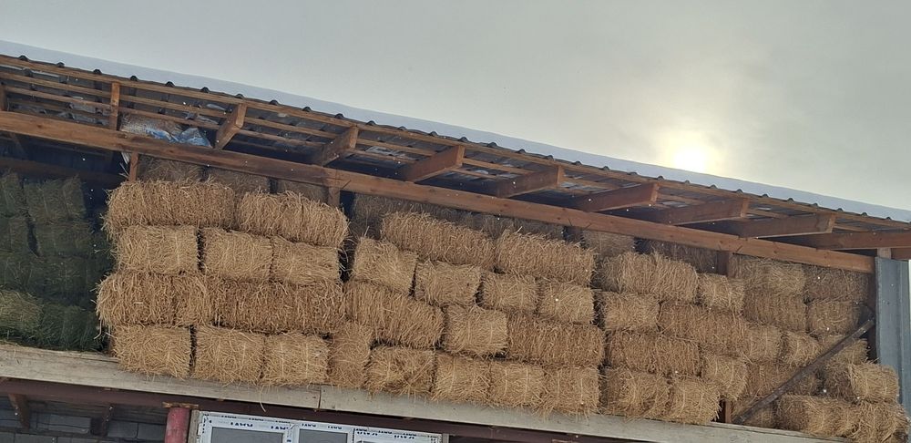 Жоғышқа сатылады