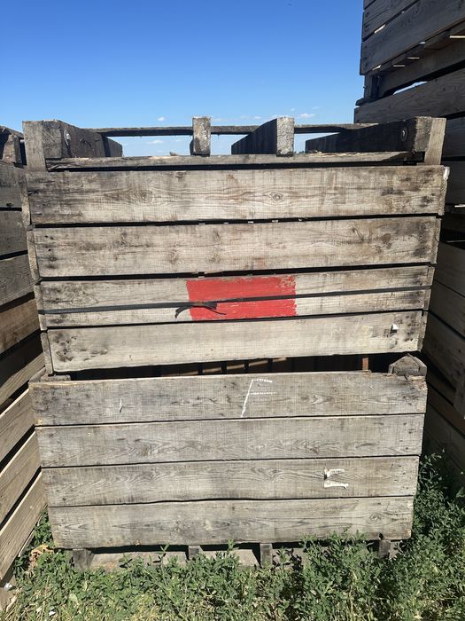 Box palet de vanzare