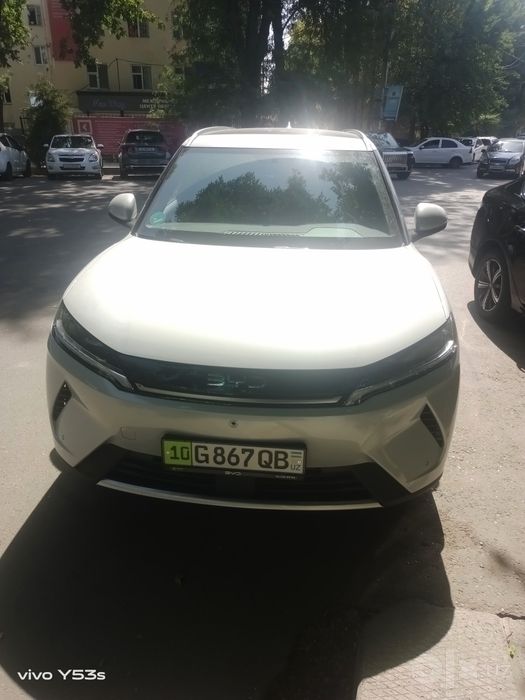 BVD юанап гибрид 2026г.август 25.