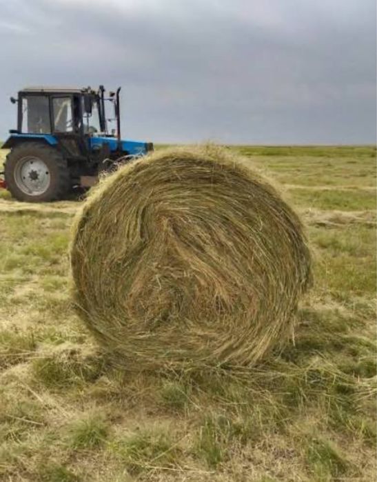 Продам сено в рулонах 220-250 кг