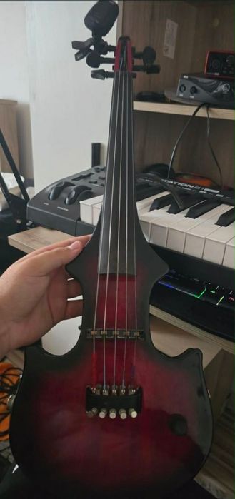 instrument - Instrumente muzicale | OLX.ro