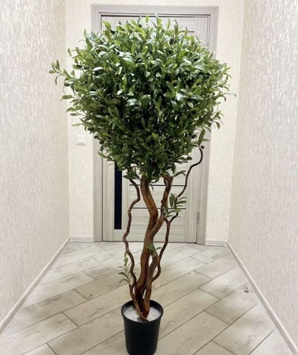 искусственные деревья в наличии