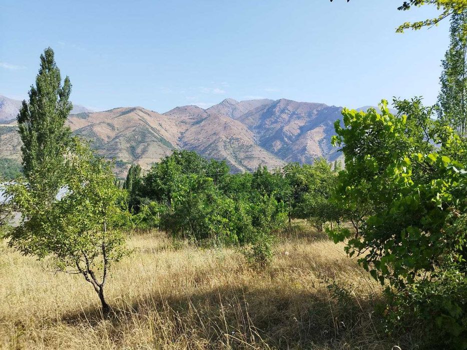 Срочно продается земельный участок с ОРДЕРом 9.54 сот {Нанай}