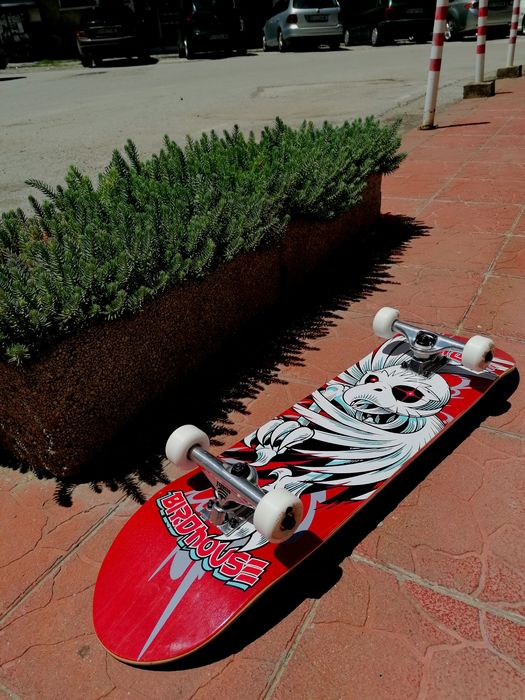 Скейтборд Birdhouse Tony Hawk