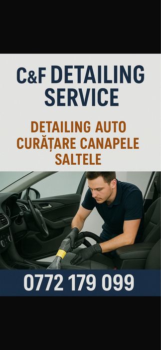 Detailing auto  canapele