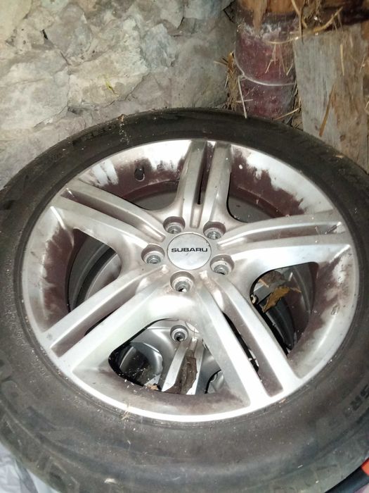 Bridgestone Potenza 205/55R15
