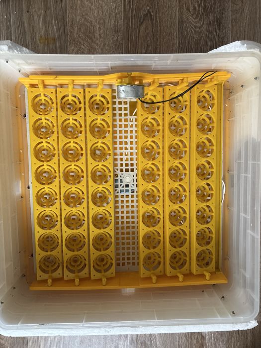 Инкубатор на 48 яйц