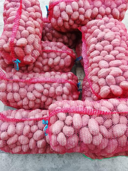 Cartofi consum Red Lady