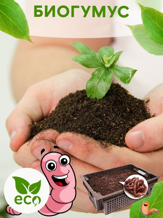 Chuvalchang va biogomus