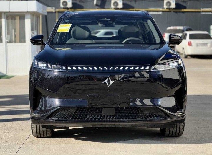 DONGFENG 008 Ultra Passportga