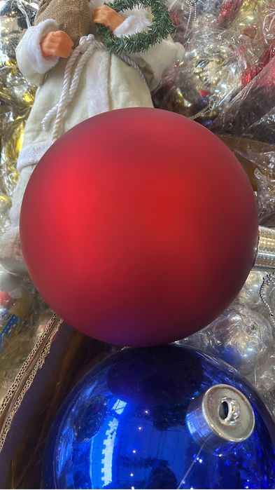 Пихта нордмана доставка