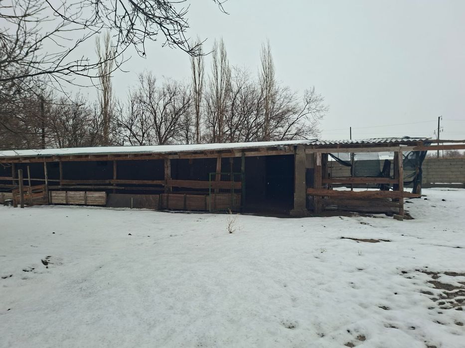 Дом фазенда кой кора