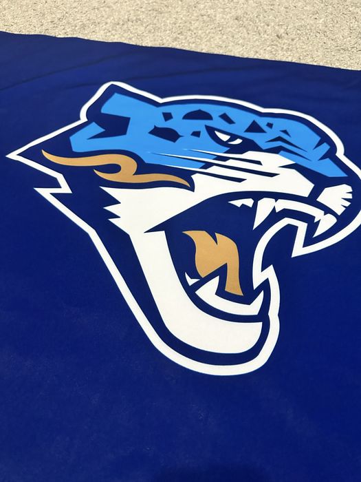 Hc Barys ХК Барыс флаг.