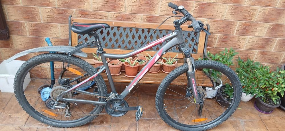Bicicleta Juliet Merida