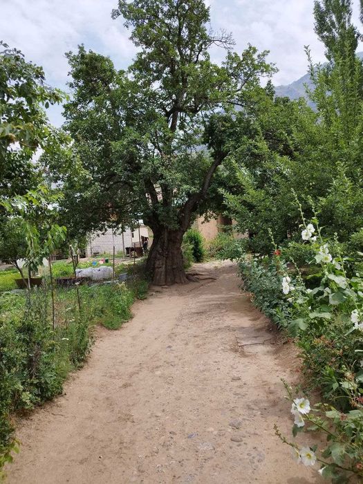 Дача 6 сот в горах {Испай}