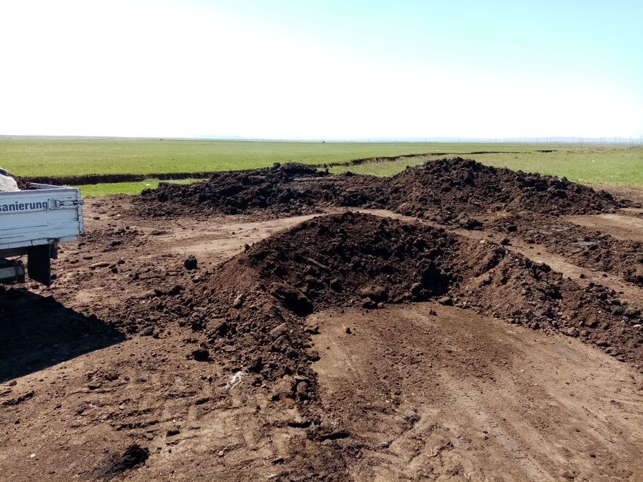 Перегной говяжый и конский