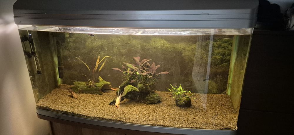 Acvariu Aqua one 220 Litrii