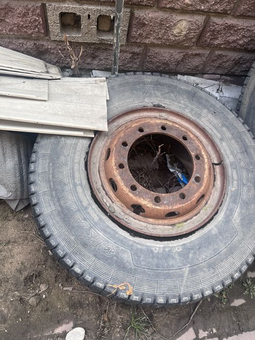 Шины от камаз вездеход