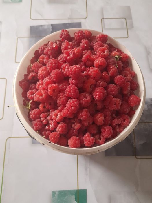 Малина свежая местная