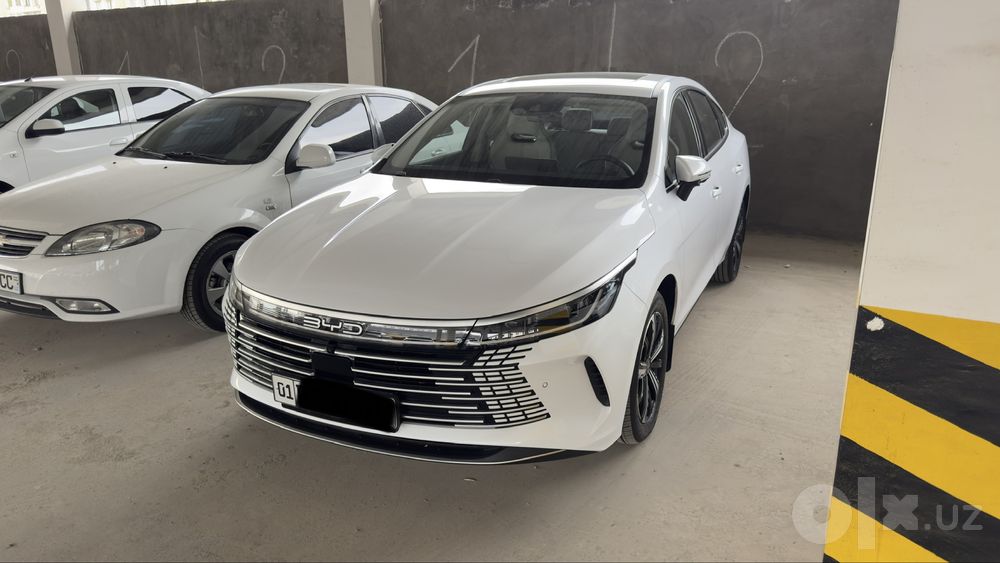 BYD chazor 2026