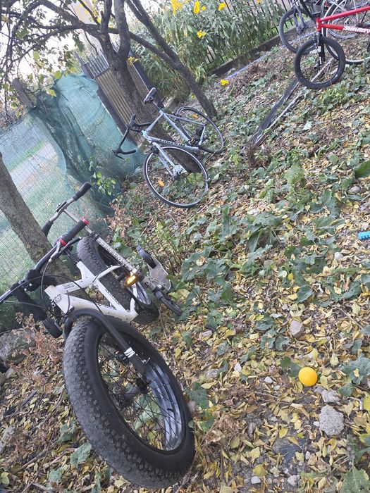 Biciclete nemțeşti