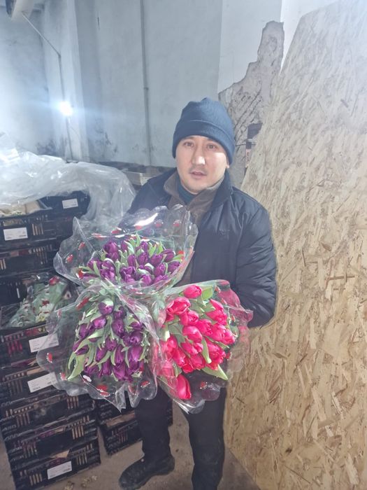 Тюльпаны оптом оптом оптом