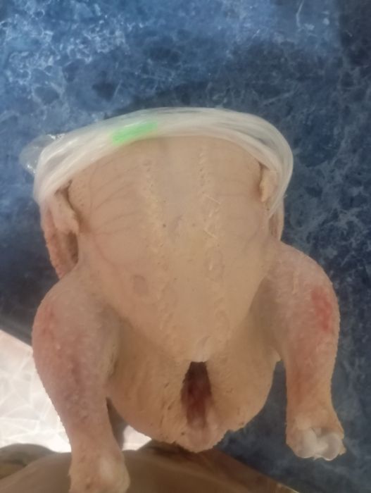 Продам мясо броллера