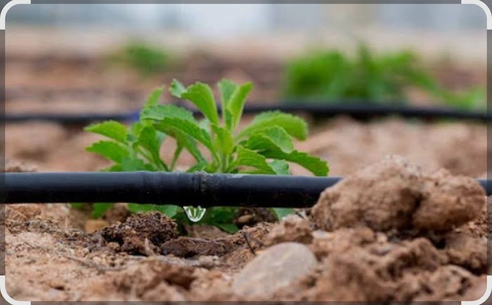 Продам капельный полив