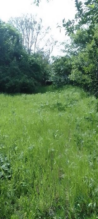 Продава се Къща в с. Смочан, Област Ловеч - 60 кв.м за 170 €/кв.м - Снимка #10