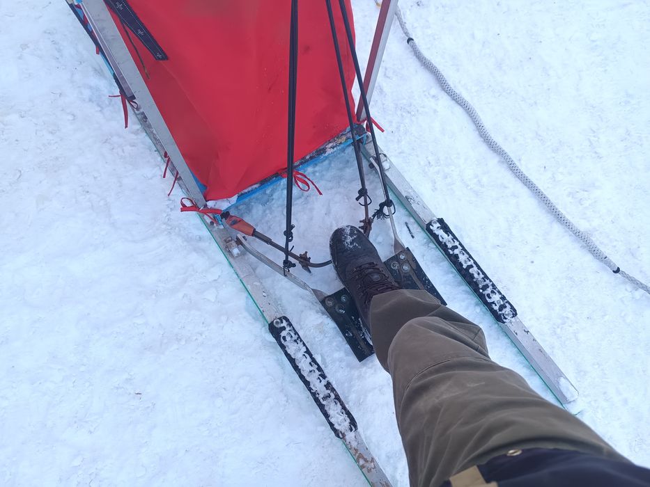 Sanie pentru caini (mushing) – MushER, fabricata in Transilvania