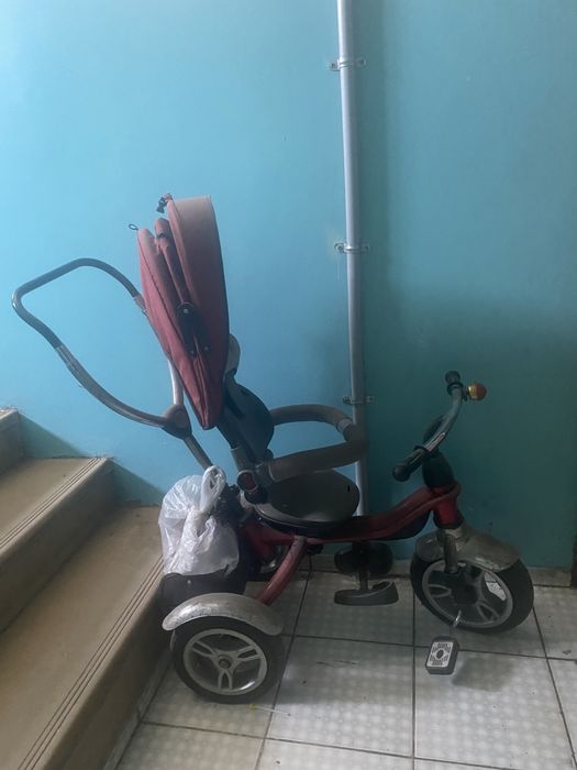 Отдам бесплатно  ………….