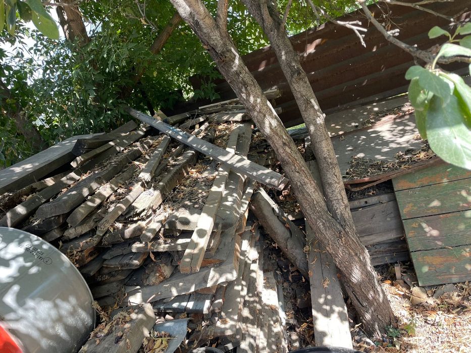 Дрова, Дерево для дровы