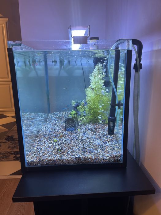 Poveste acvatica de vanzare