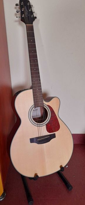Chitara acustica