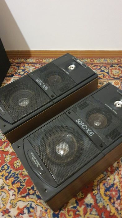 Вега 106-калонка 100вт