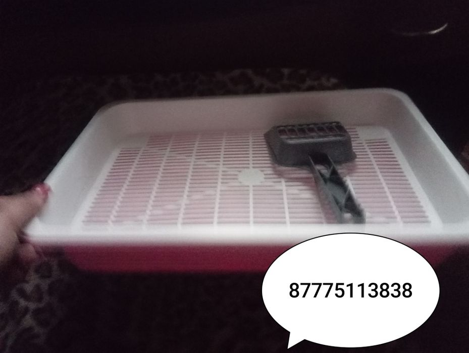 Лоток новый с лопаткой пишите на ватсап