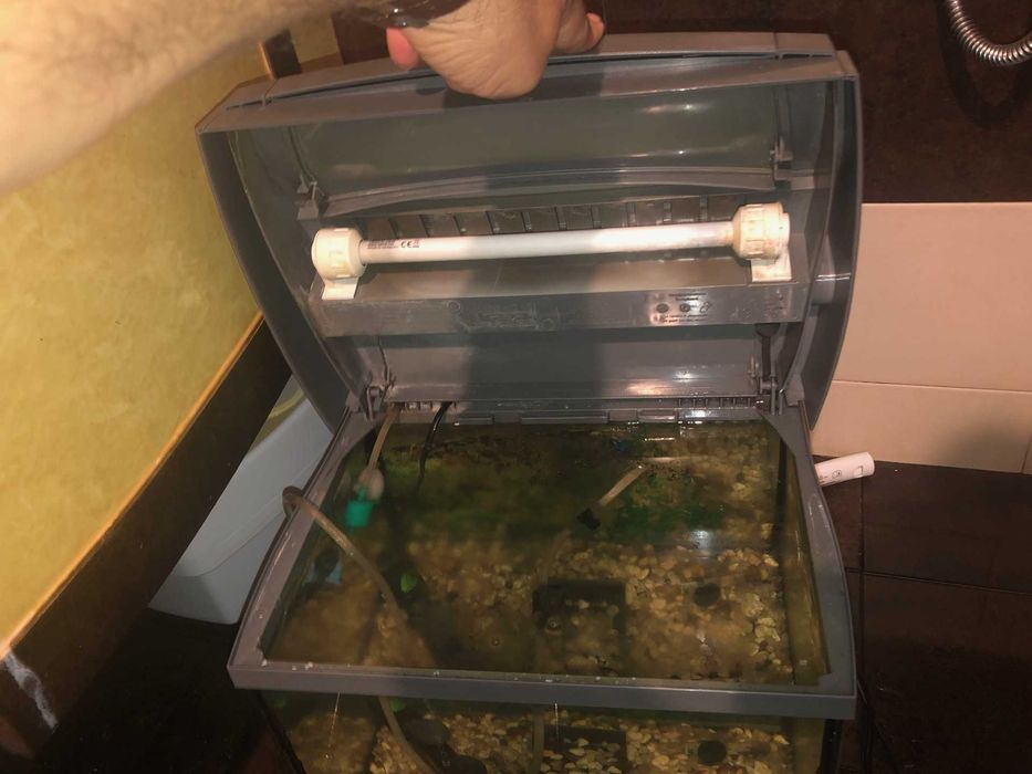 Аквариум TETRA и RS Electrical