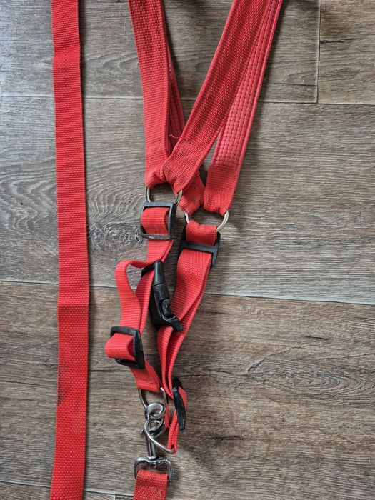 Нагръдник с повод за голямо куче