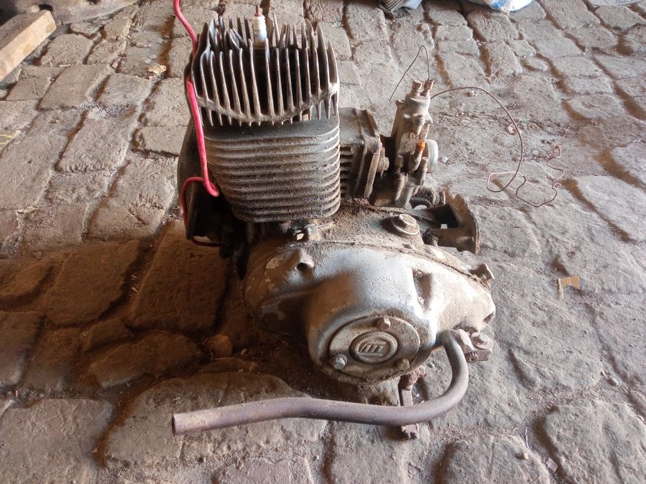 Муравей СССР матарол