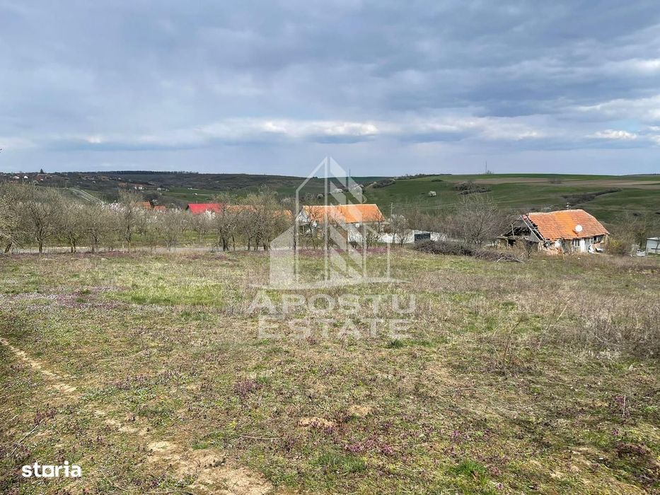 Teren intravilan pentru investitie, 2896 mp, Herneacova Timis