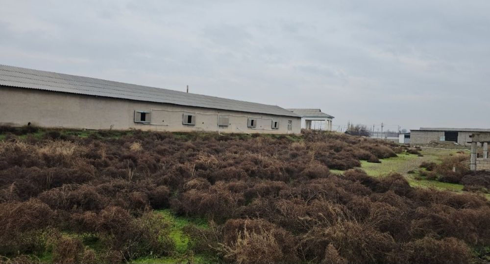 Прадажа каммерция