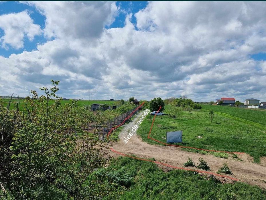 Teren intravilan Lazu